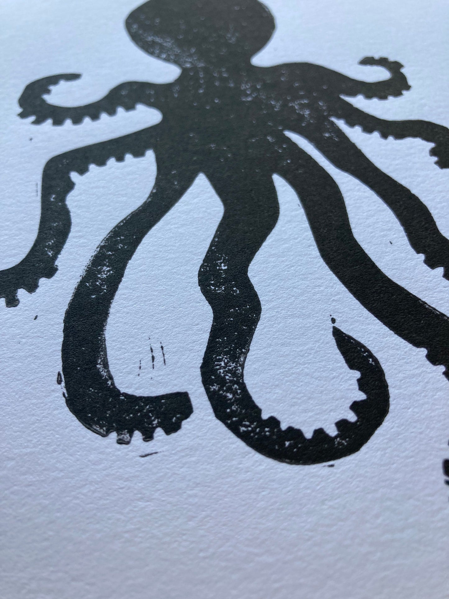 LINOCUT - Octopus - Hand-pressed linoleum block print (8x10in)