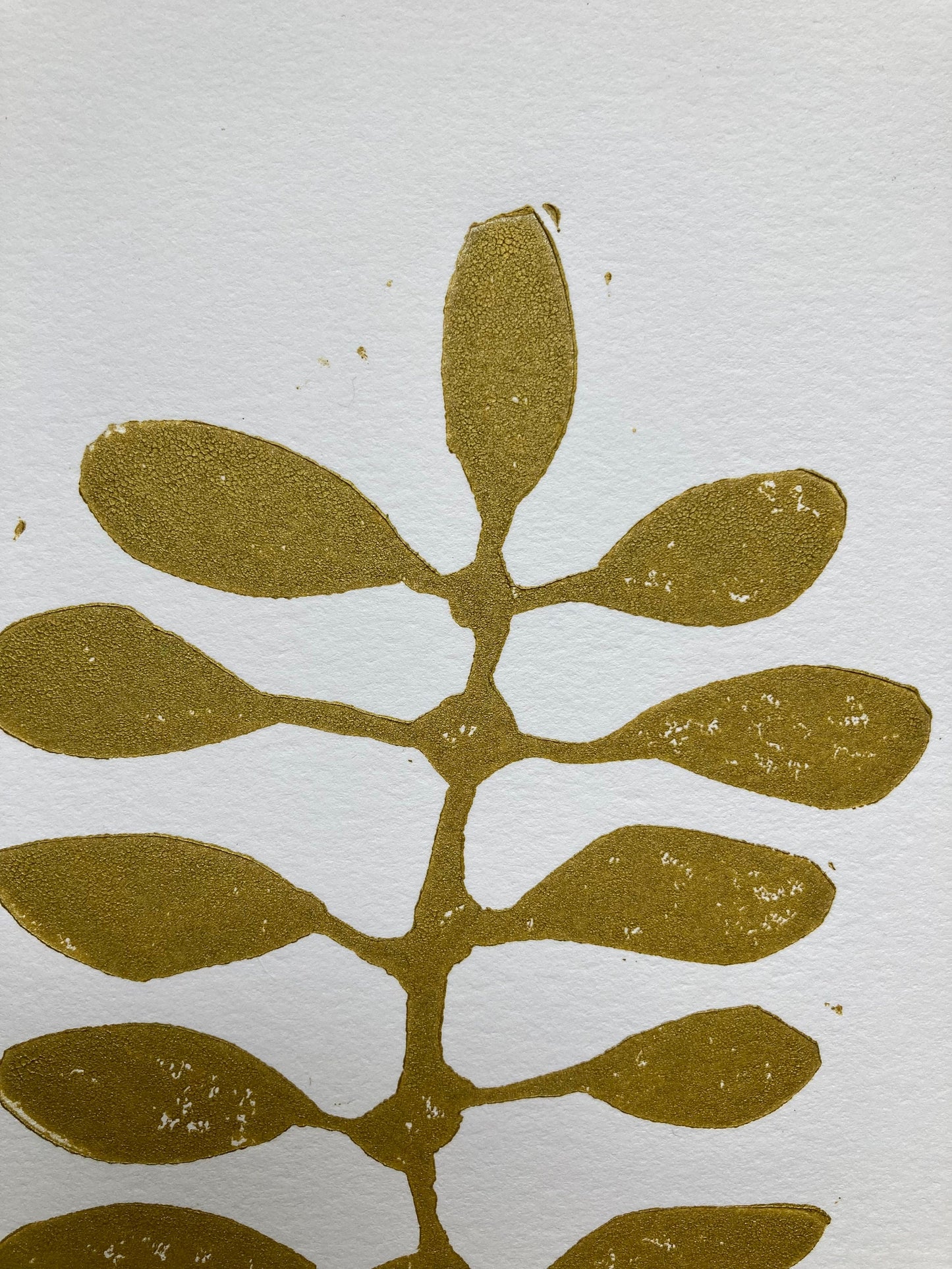 Succulent - Linocut print (8x10in)